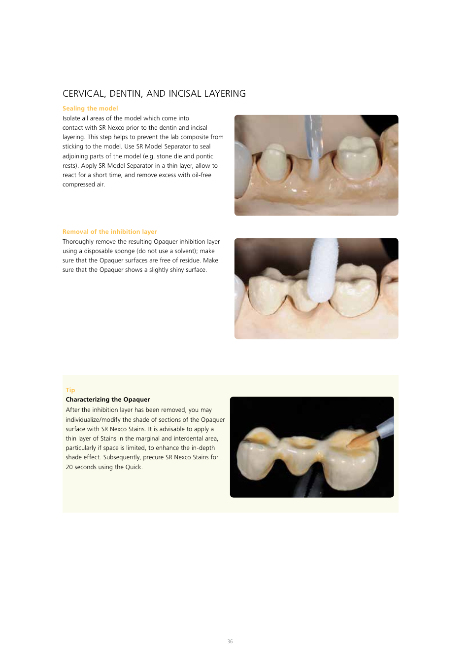 Cervical, dentin, and incisal layering | Ivoclar Vivadent SR Nexco Paste User Manual | Page 36 / 64