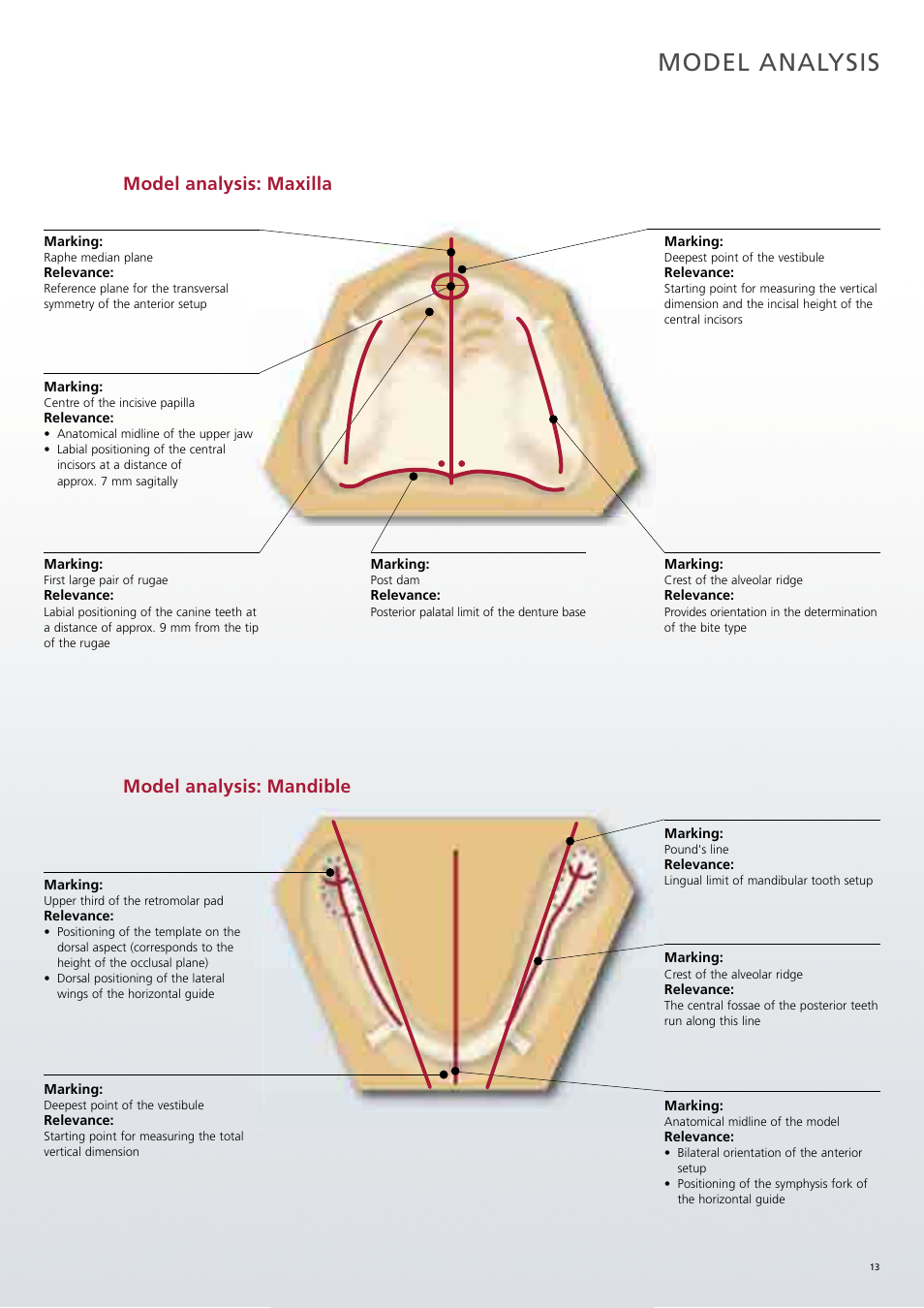 Model analysis, Model analysis: maxilla, Model analysis: mandible | Ivoclar Vivadent SR Phonares II User Manual | Page 13 / 40