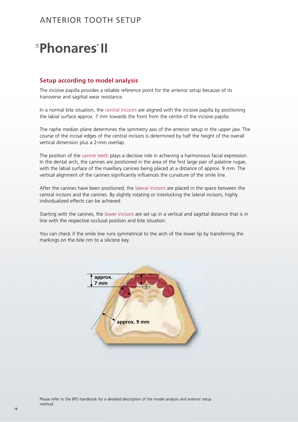 Anterior tooth setup | Ivoclar Vivadent SR Phonares II User Manual | Page 16 / 40