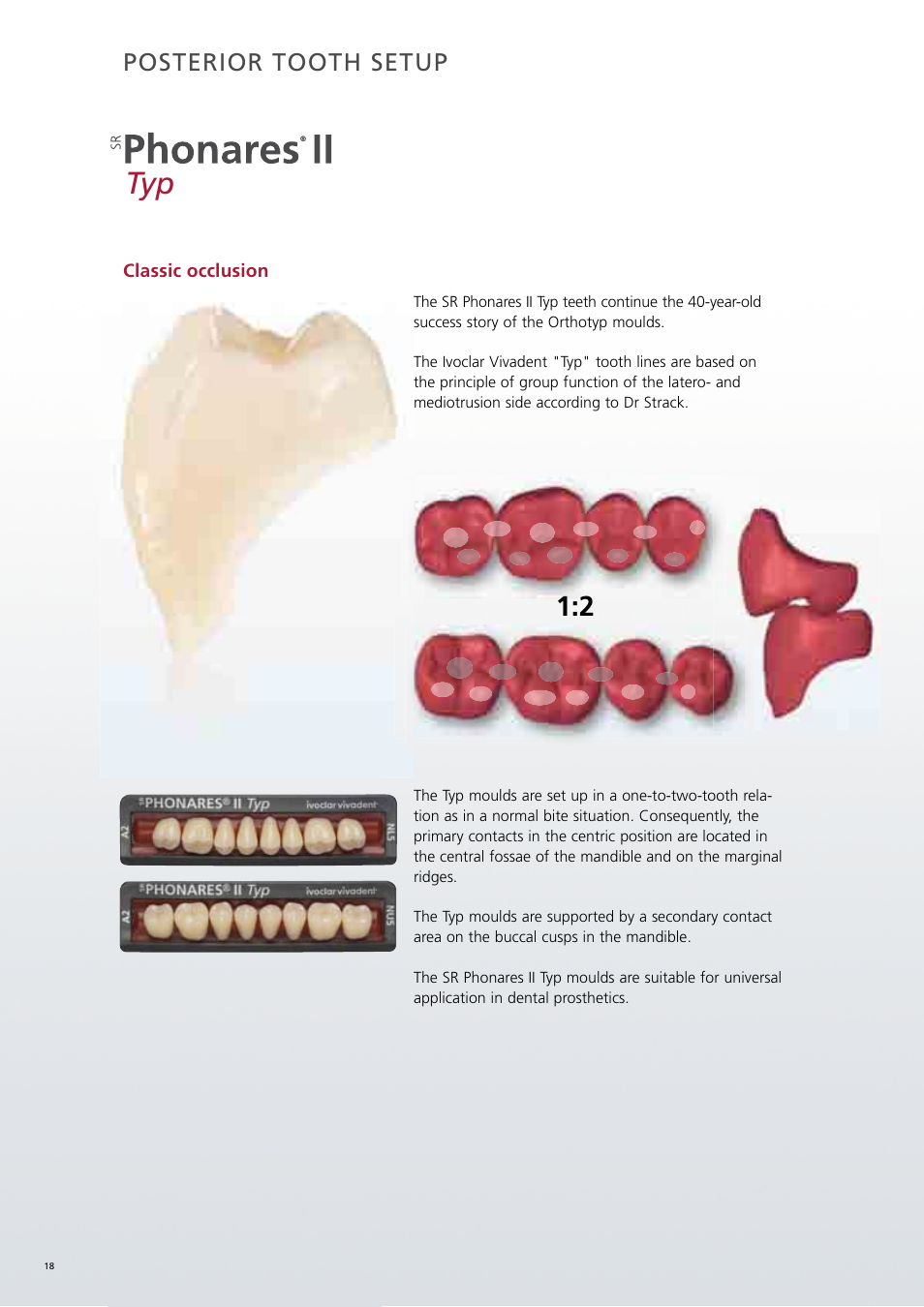Posterior tooth setup | Ivoclar Vivadent SR Phonares II User Manual | Page 18 / 40