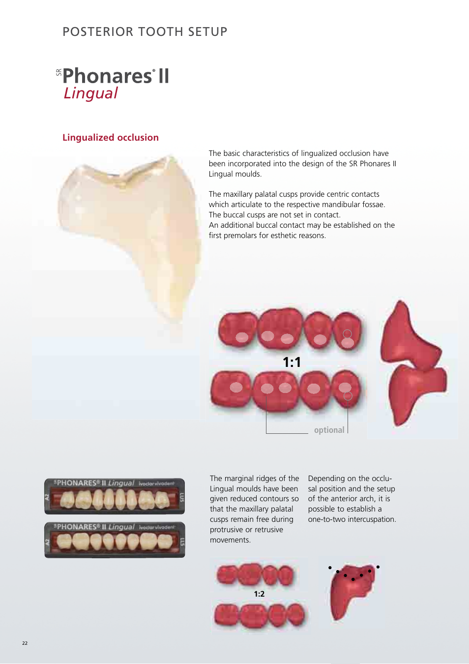 Lingual, Posterior tooth setup | Ivoclar Vivadent SR Phonares II User Manual | Page 22 / 40