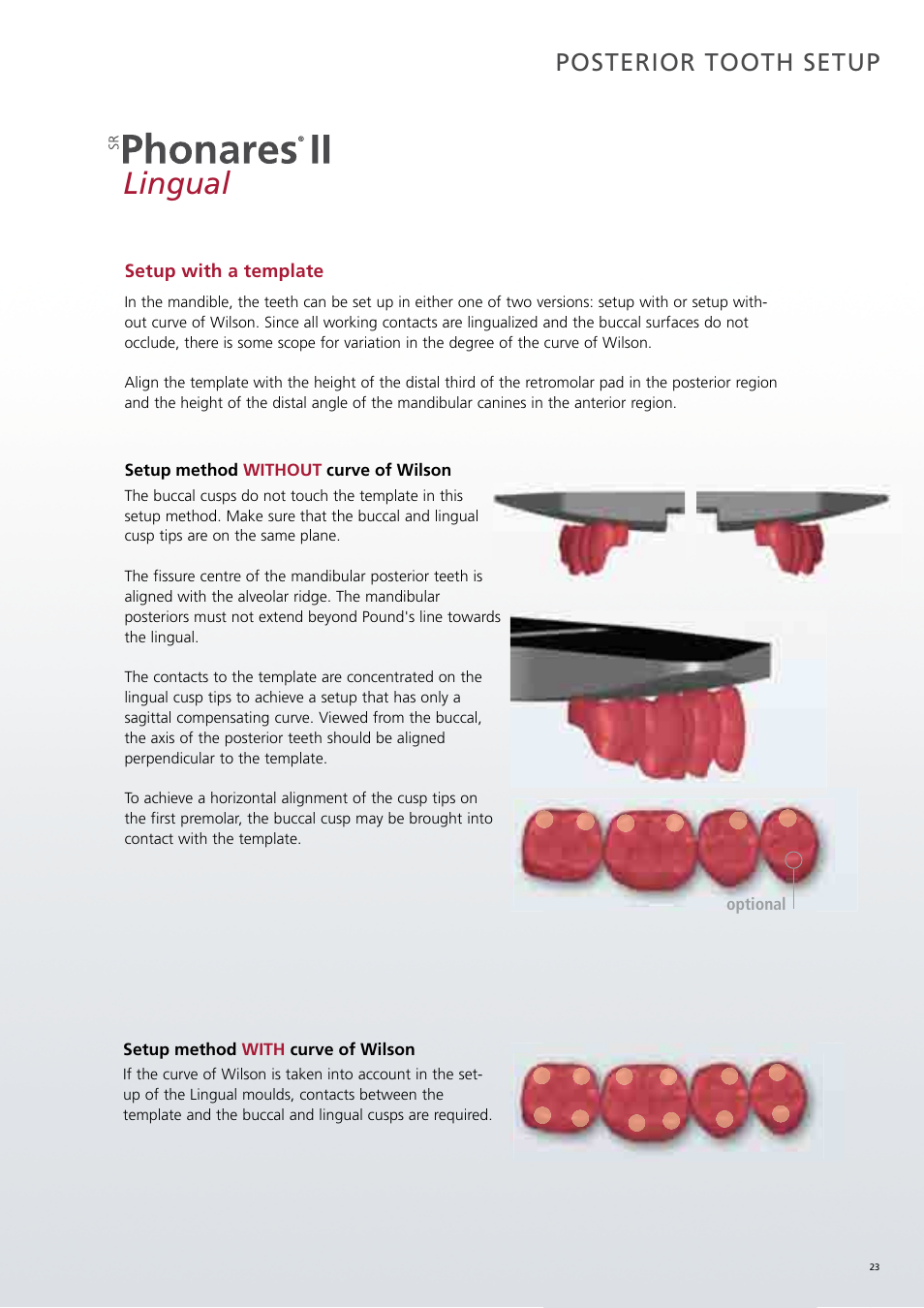 Lingual, Posterior tooth setup | Ivoclar Vivadent SR Phonares II User Manual | Page 23 / 40