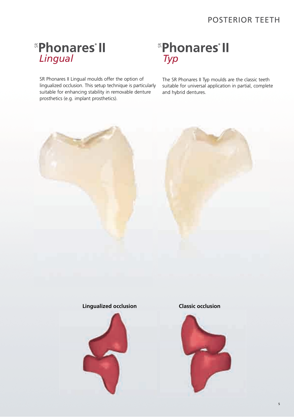 Lingual typ | Ivoclar Vivadent SR Phonares II User Manual | Page 5 / 40