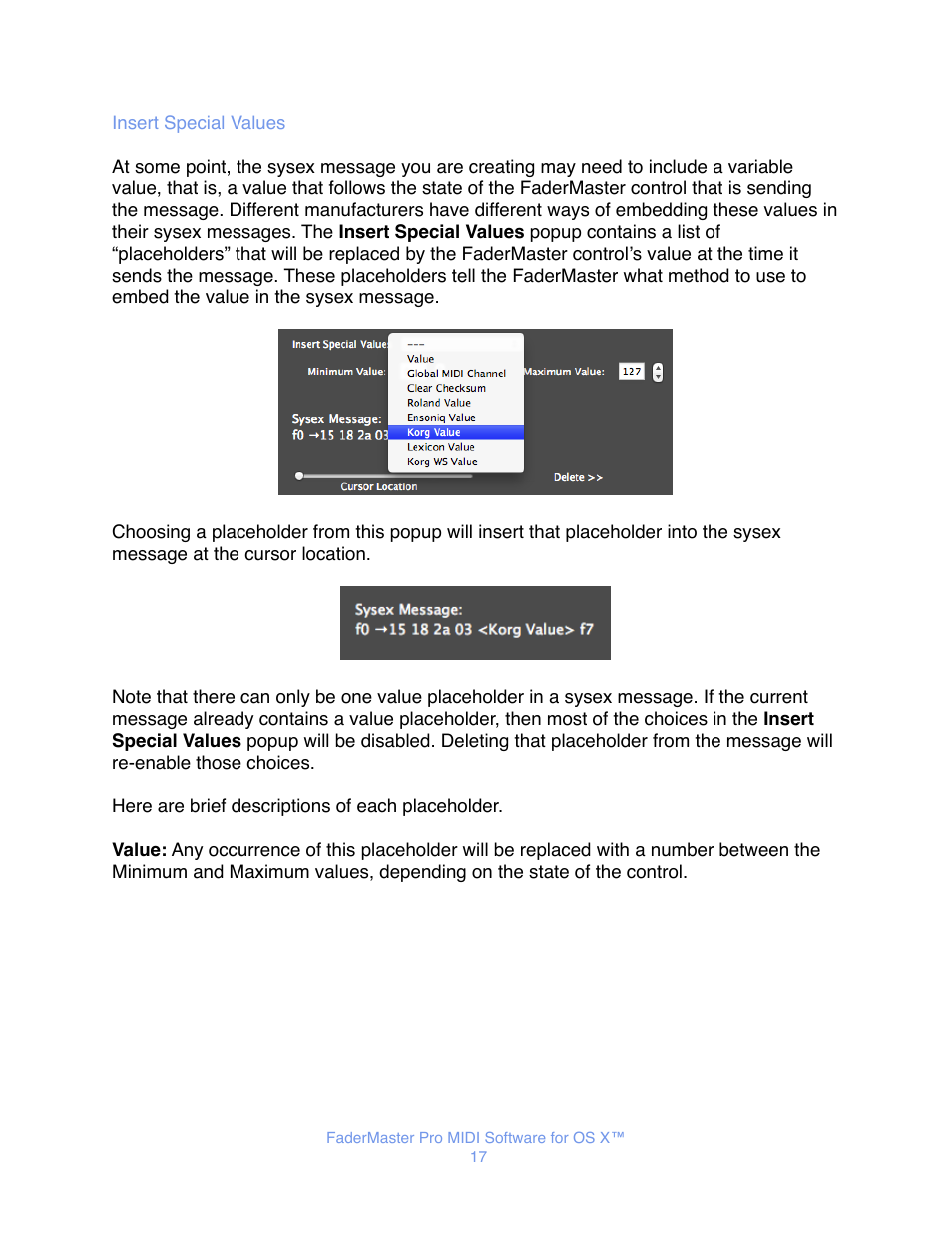 Insert special values | JLCooper FaderMaster Pro MIDI for OS X User Manual | Page 19 / 20