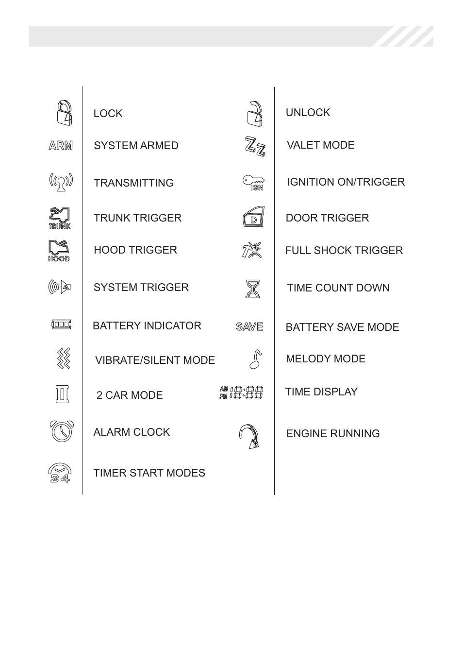 Lcd remote control icon’s | Code Alarm Professional Series CA 6550 User Manual | Page 12 / 18