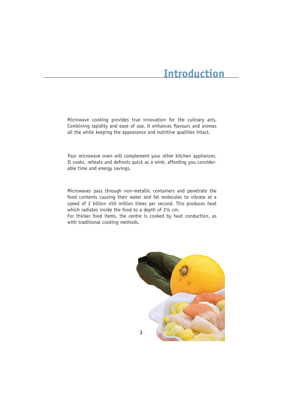 Introduction | Kleenmaid MWK100 User Manual | Page 3 / 48