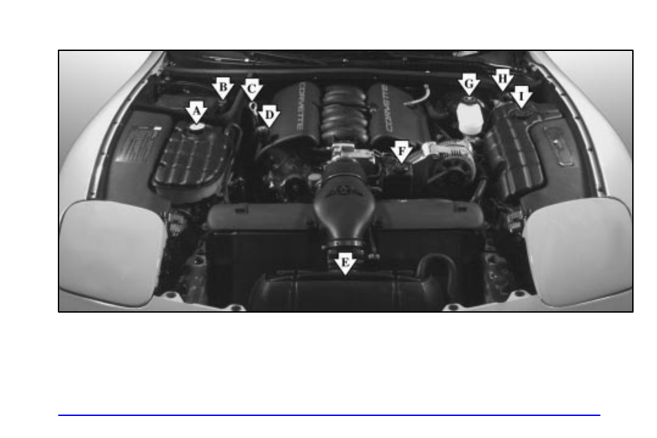 CHEVROLET 1999 Corvette User Manual | Page 261 / 376