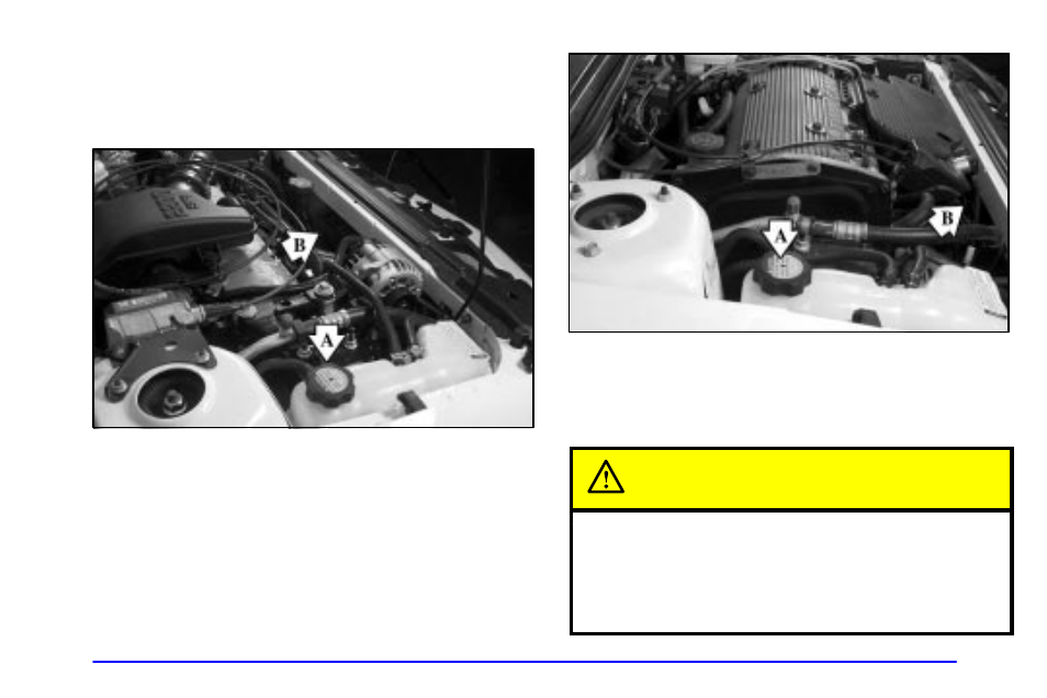Cooling system, Caution | CHEVROLET 1999 Cavalier User Manual | Page 217 / 368