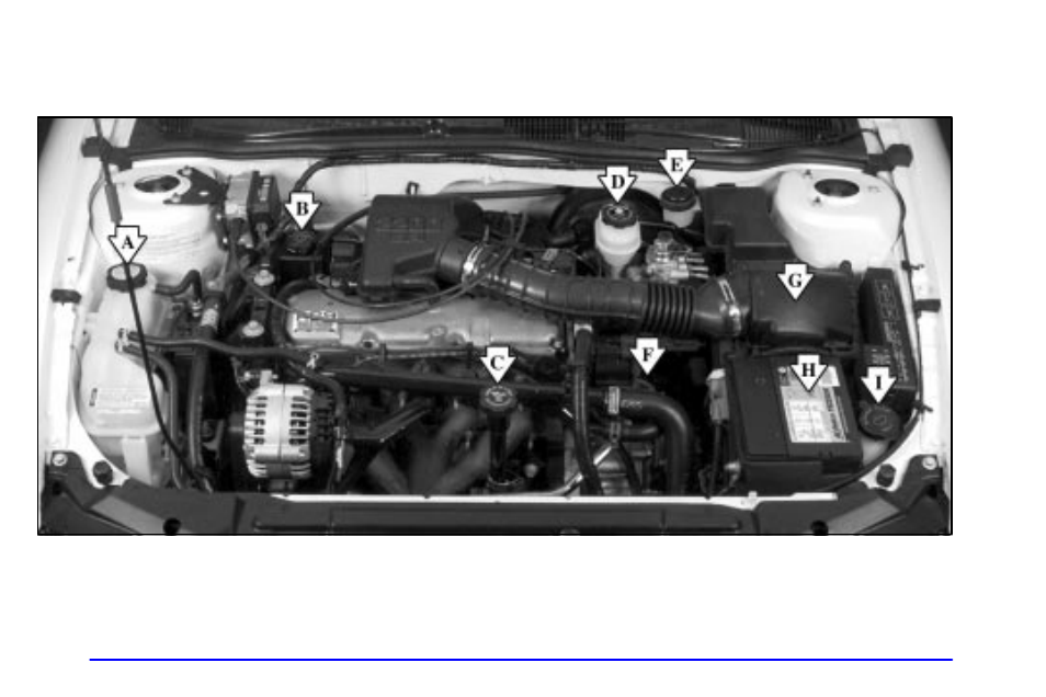 CHEVROLET 1999 Cavalier User Manual | Page 248 / 368