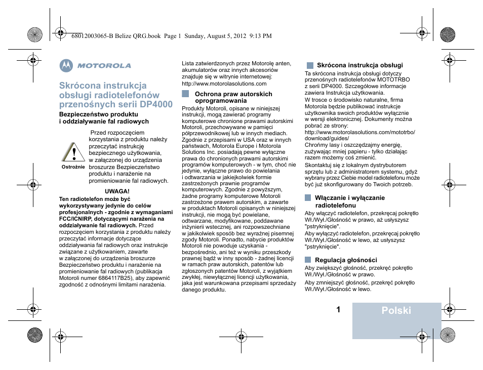 Polski | Motorola DP 4600 UHF User Manual | Page 31 / 40