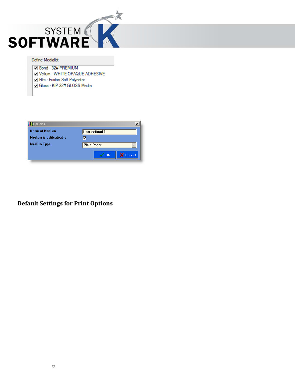 Default settings for print options, Efault, Ettings for | Rint, Ptions, Kip graphics pro | KIP Graphics Pro User Manual | Page 19 / 99