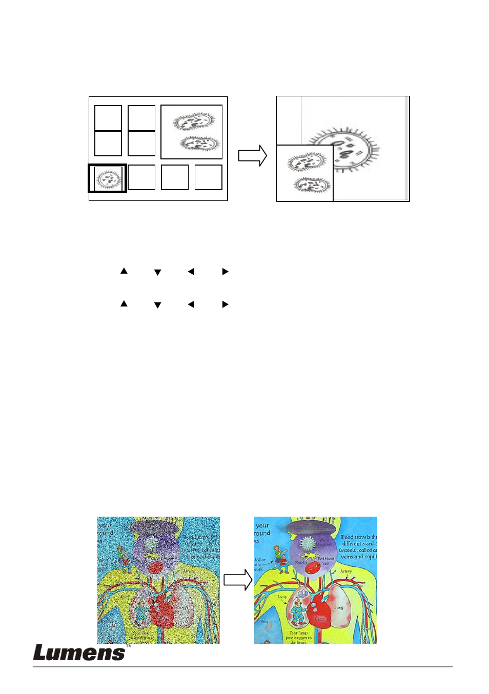 Images (pip)) | Lumens Technology PC190 User Manual | Page 31 / 42