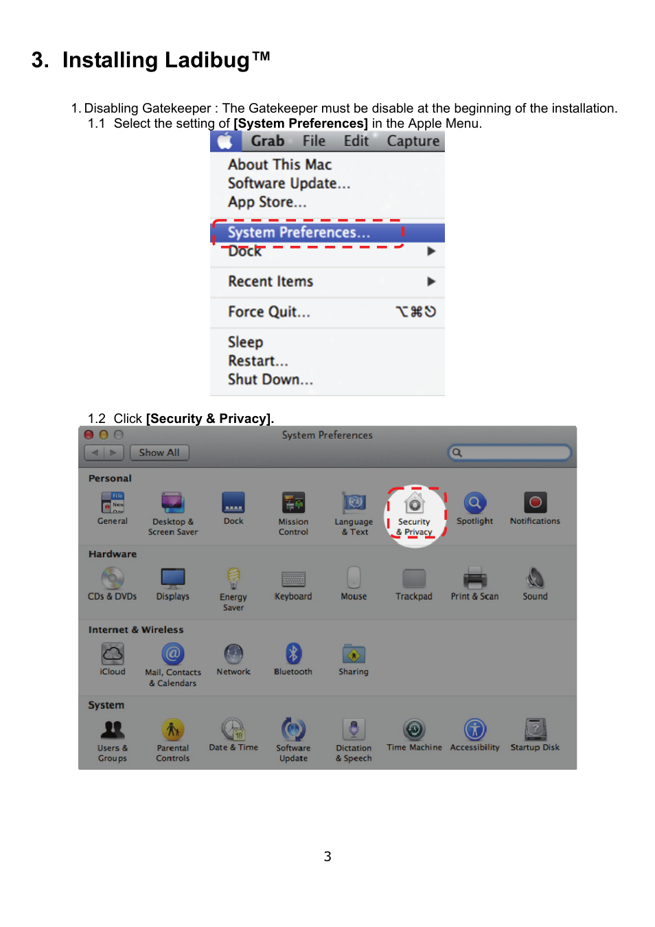 Installing ladibug | Lumens Technology Ladibug MAC User Manual | Page 4 / 23