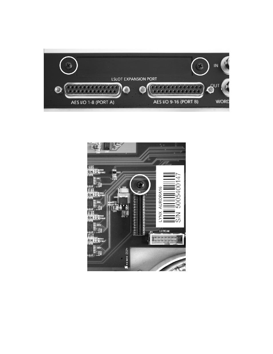 Lynx Studio LT-HD User Manual | Page 8 / 28