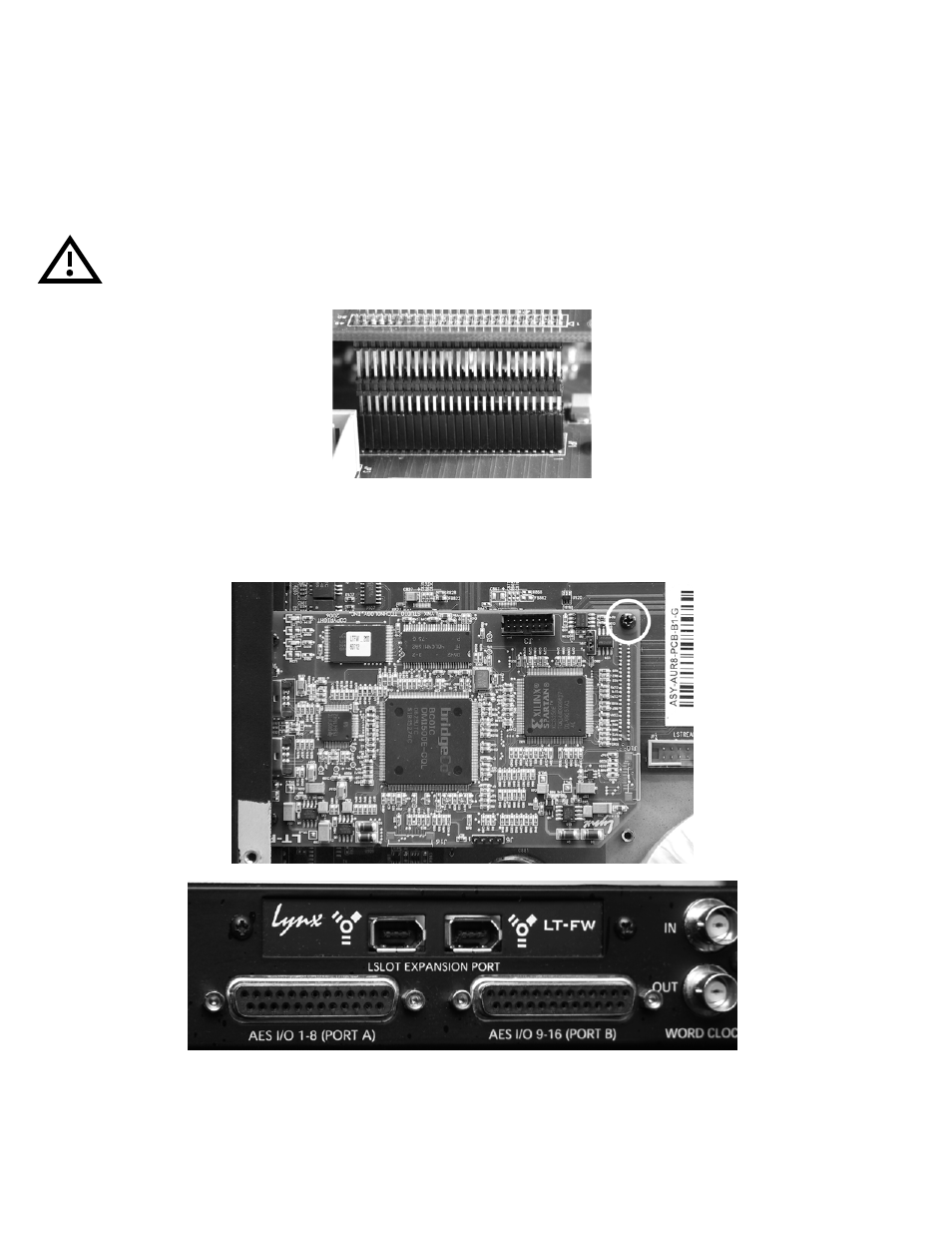 Lynx Studio LT-FW User Manual | Page 10 / 43