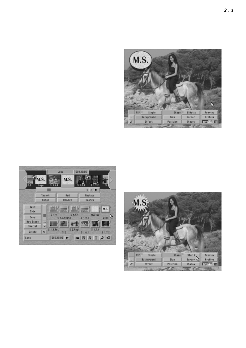 2) personal logo ii | MacroSystem PIP-Studio User Manual | Page 15 / 44