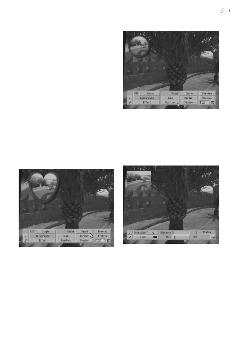 5) circling scenes within the video footage | MacroSystem PIP-Studio User Manual | Page 25 / 44