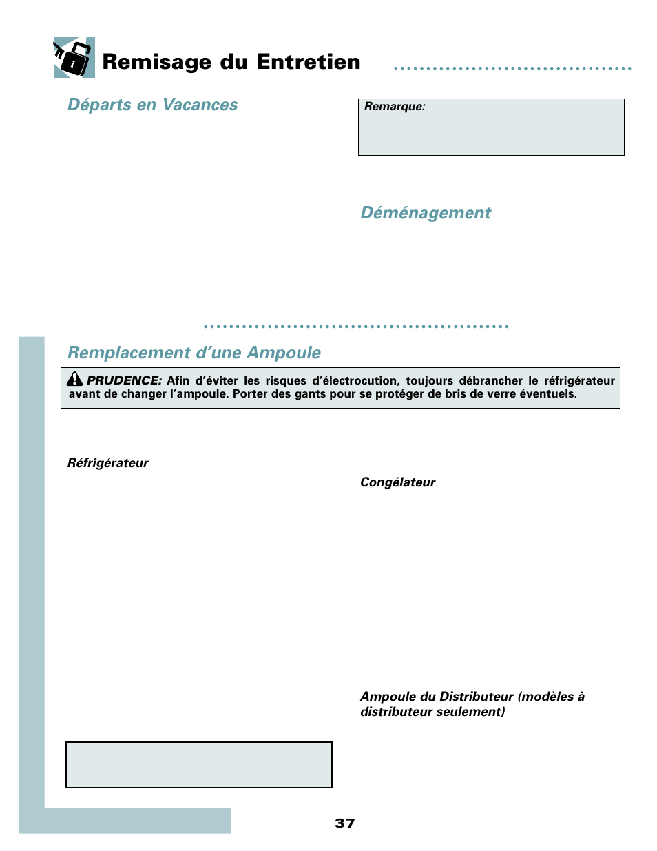 Remisage du entretien, Départs en vacances, Déménagement | Remplacement d’une ampoule | Maytag MSD2434HEQ User Manual | Page 38 / 60