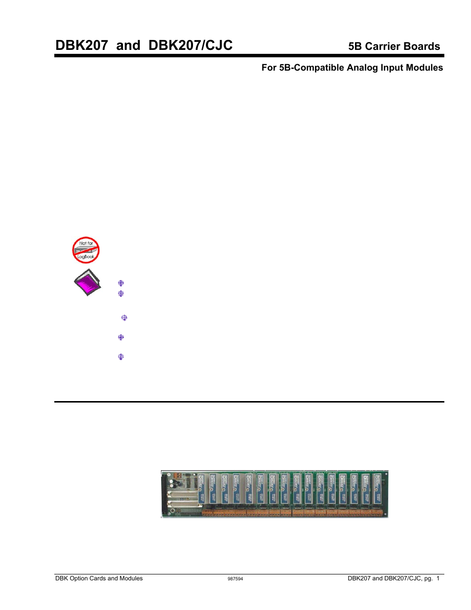 Dbk207 and dbk207/cjc 5b carr, 5b carrier boards, Overview | Measurement Computing DBK Part 2 User Manual | Page 229 / 306