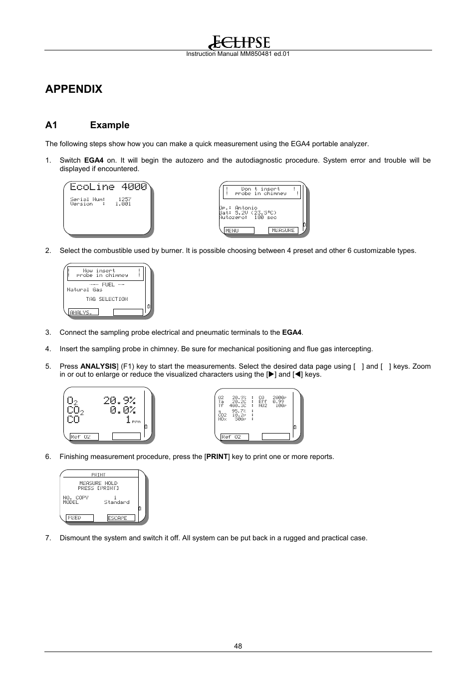 Appendix, Example, A1 example | Ecoline 4000, 9% co, 0% co 1 | Eclipse Combustion EGA4 User Manual | Page 48 / 50