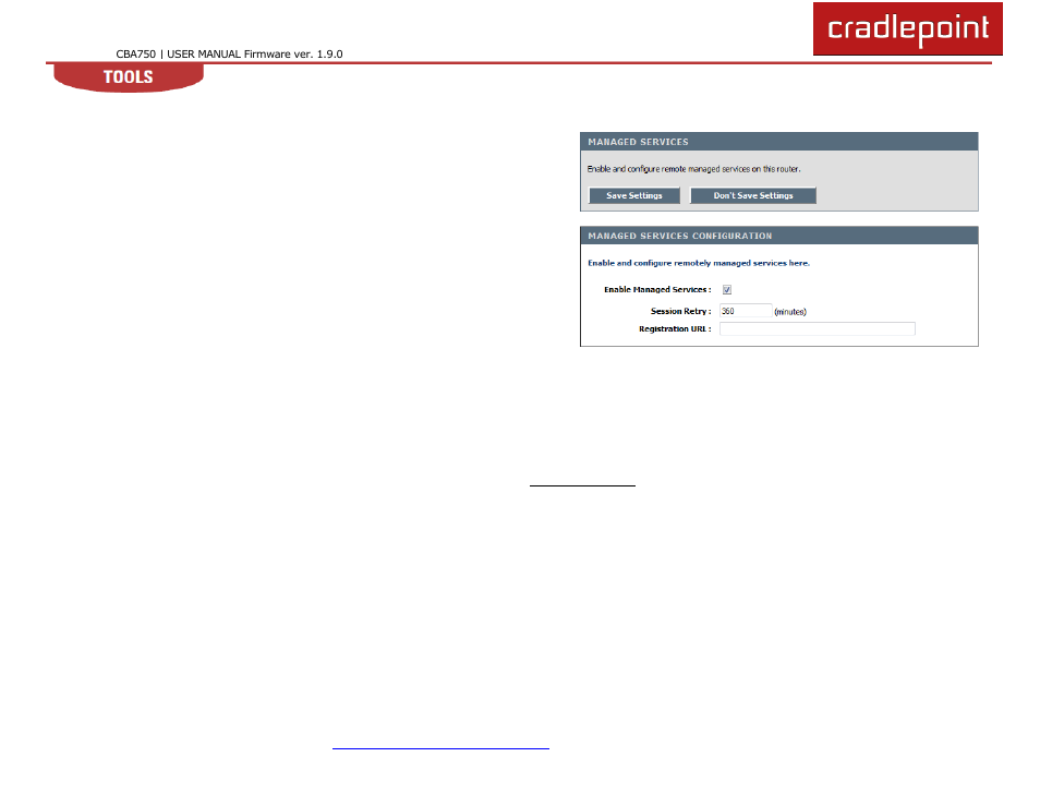 4 managed services | Cradlepoint WIPIPE CBA750 User Manual | Page 56 / 89