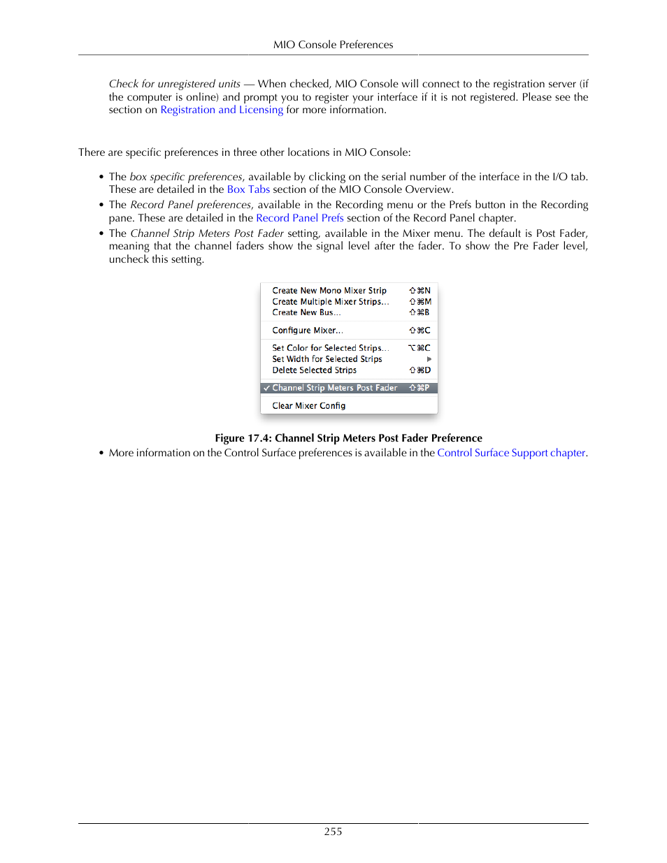 Other preferences, Channel strip meters post fader preference | Metric Halo Mobile I/O User Manual | Page 255 / 371