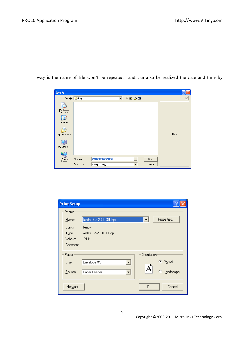 Save file, Printer setup | MicroLinks PRO10 - user manual User Manual | Page 9 / 62