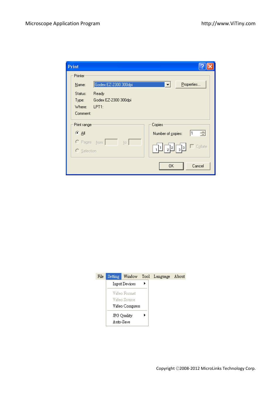 Print picture, Exit, Setting | MicroLinks VT300 - user manual User Manual | Page 10 / 63