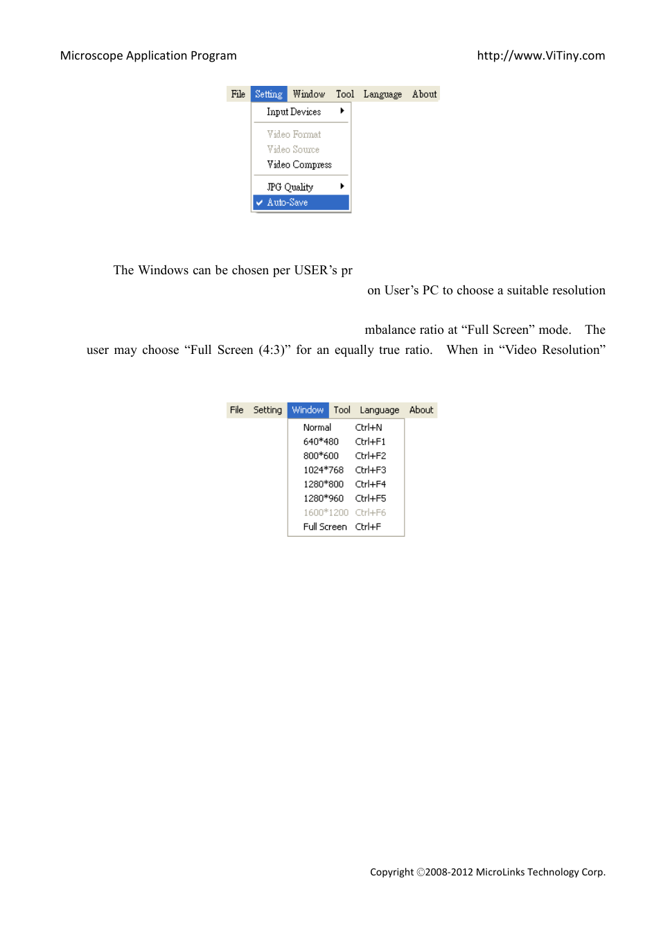 Window, 7 window | MicroLinks VT300 - user manual User Manual | Page 14 / 63