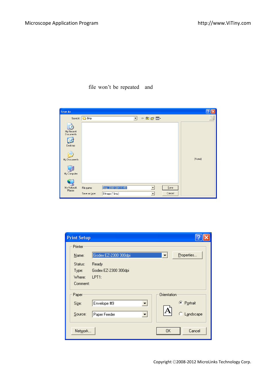 Save file, Printer setup | MicroLinks VT300 - user manual User Manual | Page 9 / 63