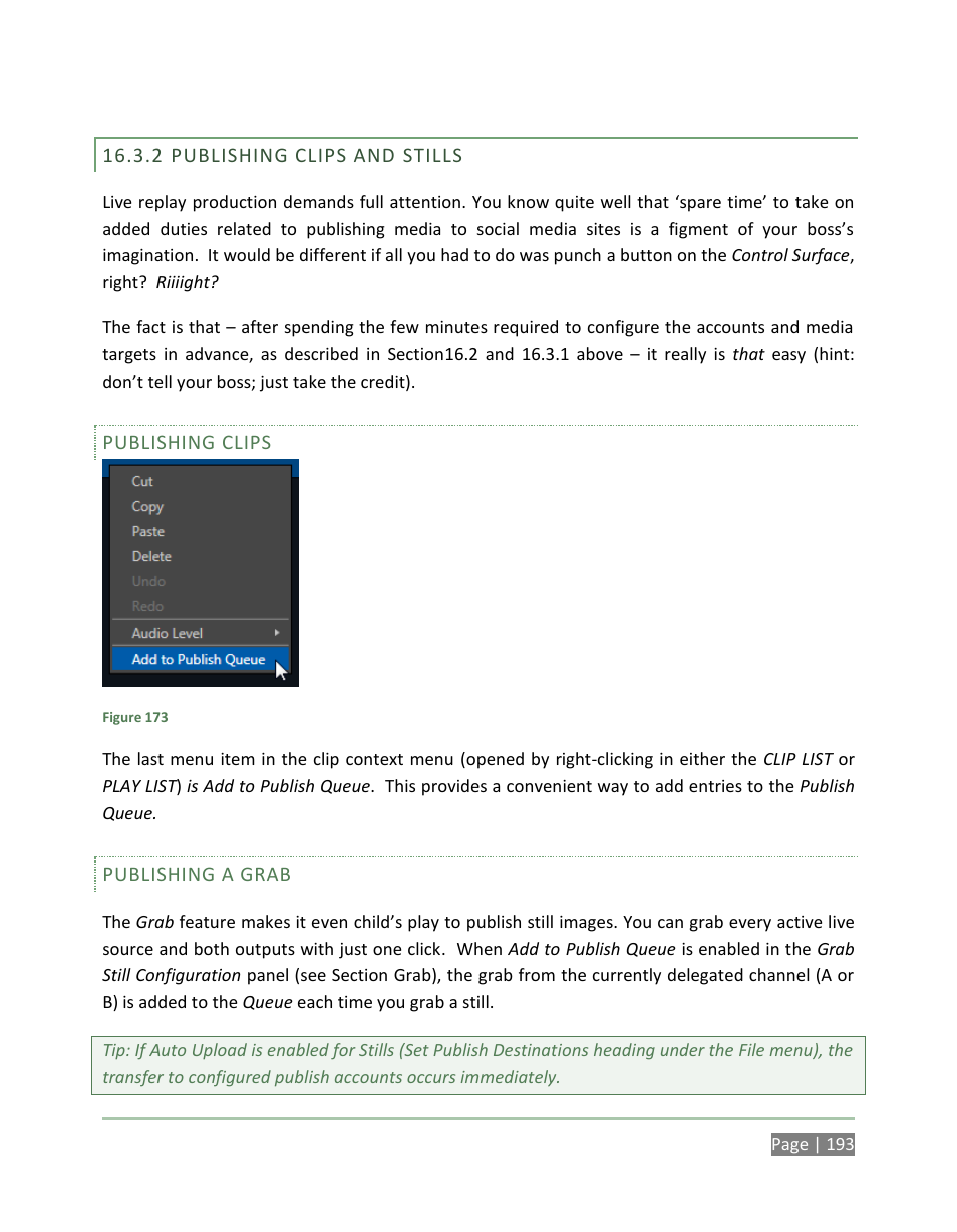 Publishing clips and stills | NewTek 3Play 4800 User Manual | Page 209 / 266