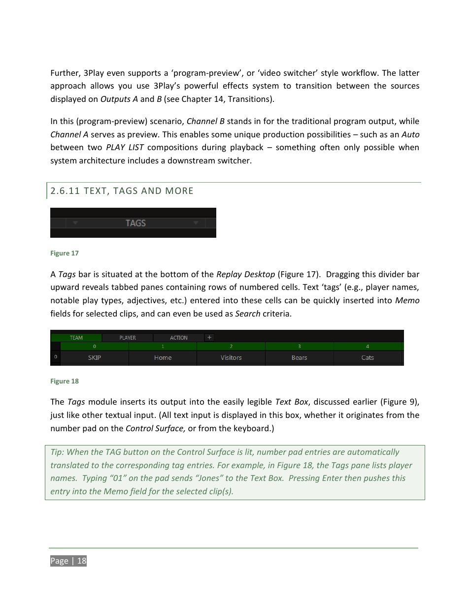 Text, tags and more | NewTek 3Play 4800 User Manual | Page 34 / 266