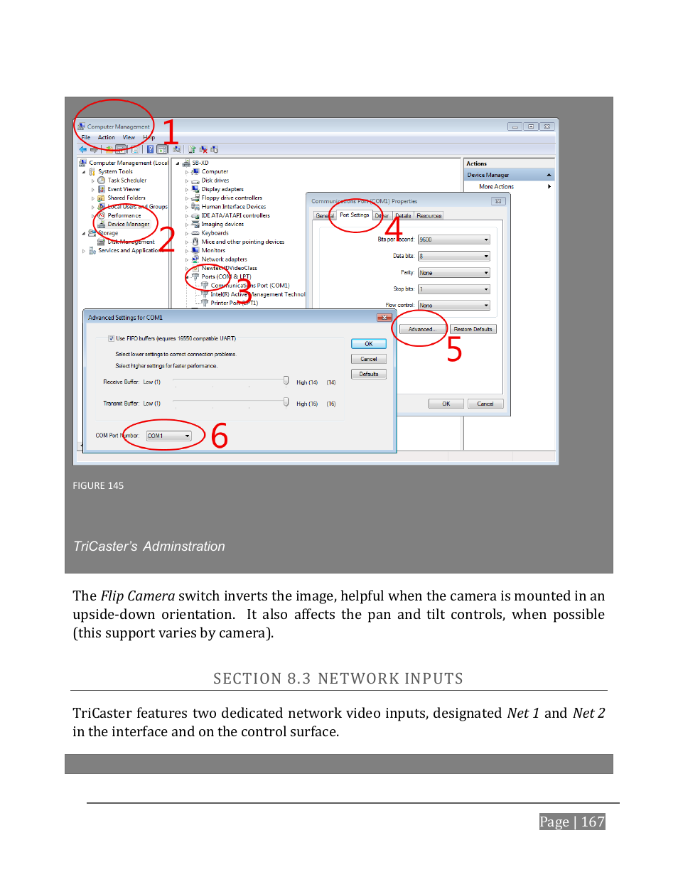 Ection, Etwork, Nputs | NewTek TriCaster 8000 User Manual | Page 183 / 529