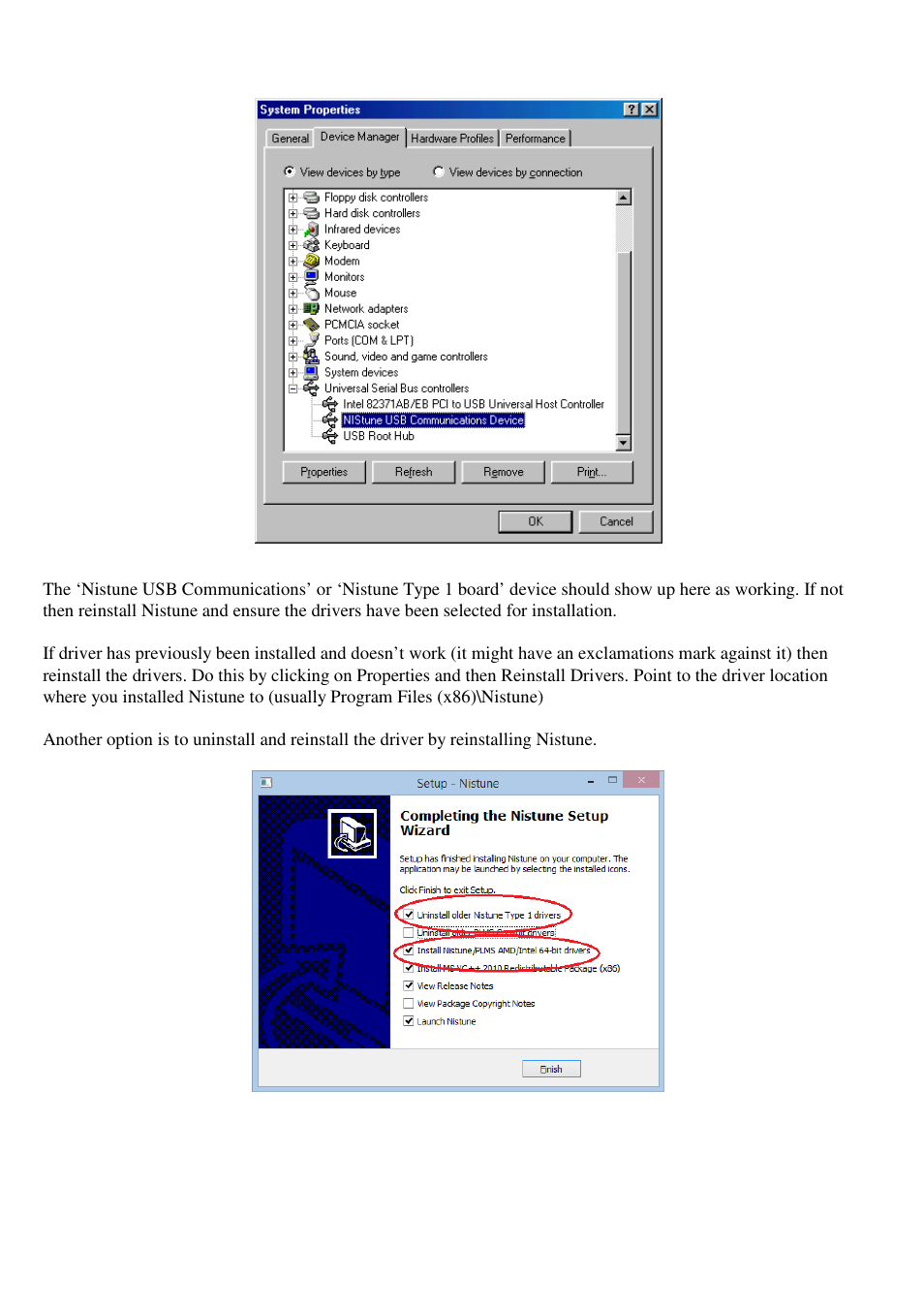 NIStune Type 1 Diagnostics User Manual | Page 4 / 13