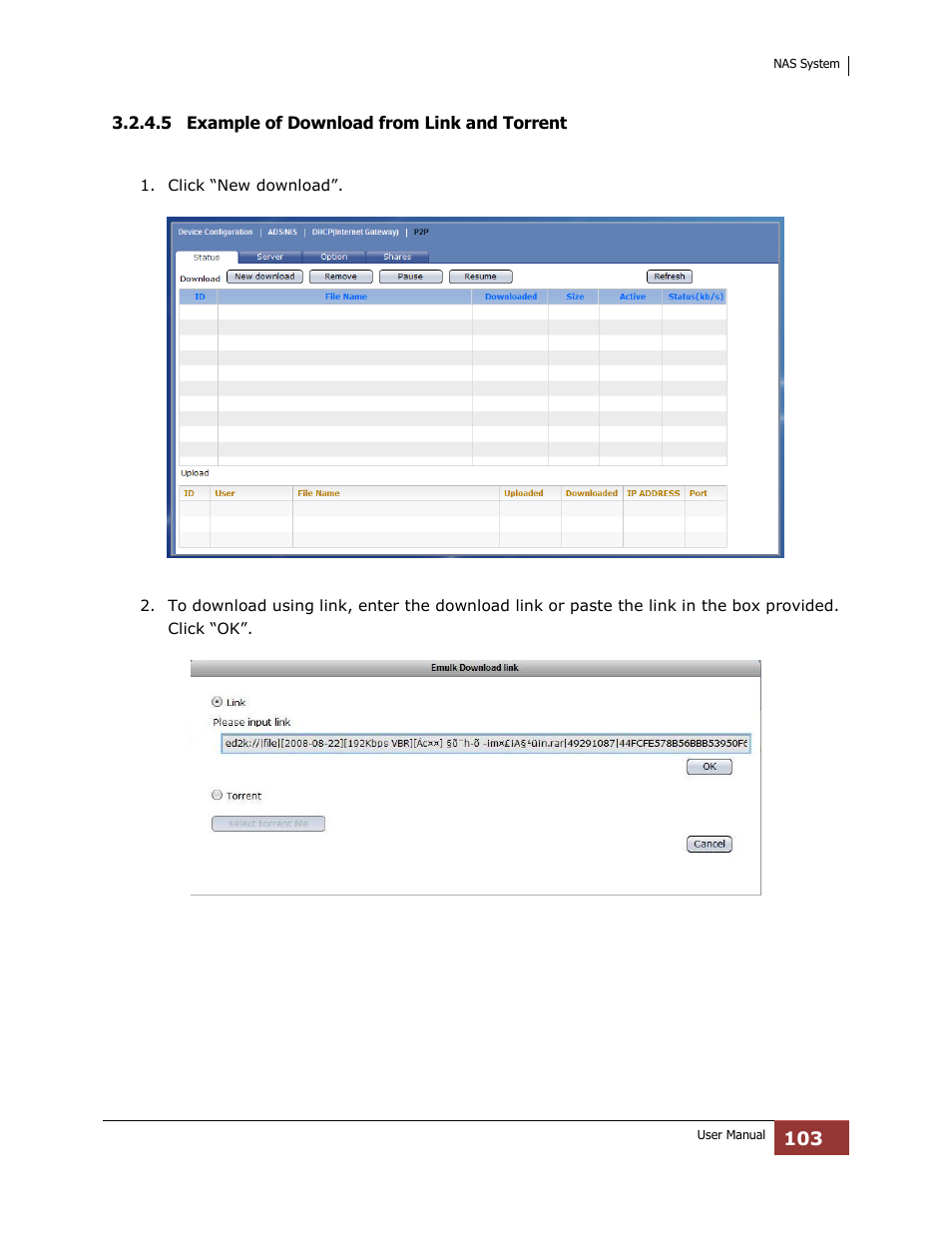 5 example of download from link and torrent | Niveo Professional NNAS-R4 User Manual | Page 103 / 189