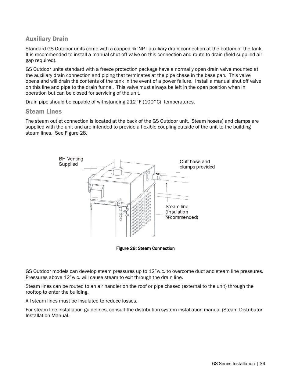 Auxiliary drain, Steam lines | Nortec GS Series User Manual | Page 37 / 98