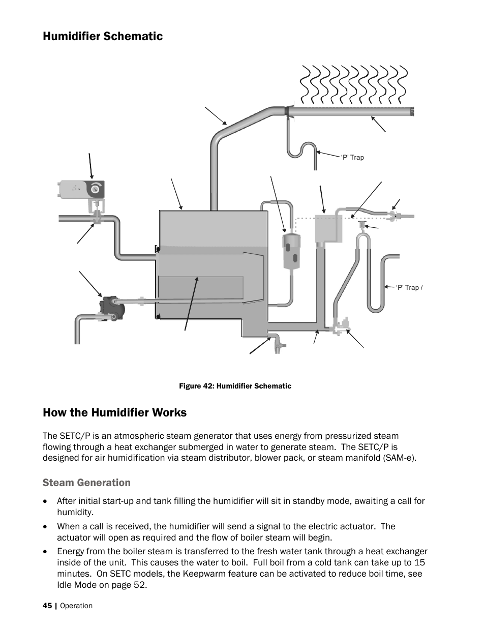 How the humidifier works, 45 how the humidifier works, 45 steam generation | Humidifier schematic, Steam generation | Nortec SE Series User Manual | Page 48 / 100