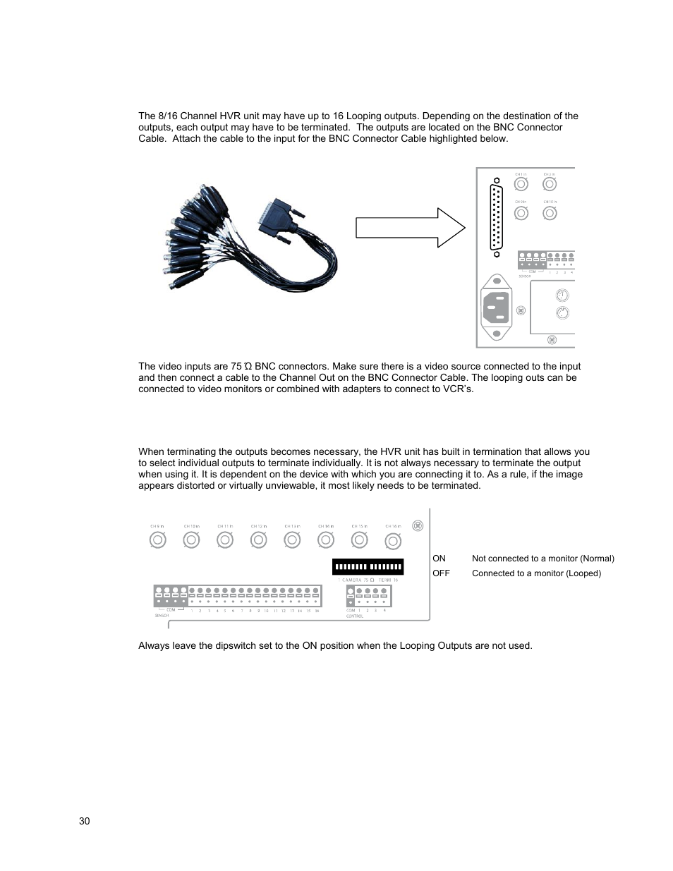 Looping outputs, Looping output termination | OpenEye OE5 User Manual | Page 30 / 34