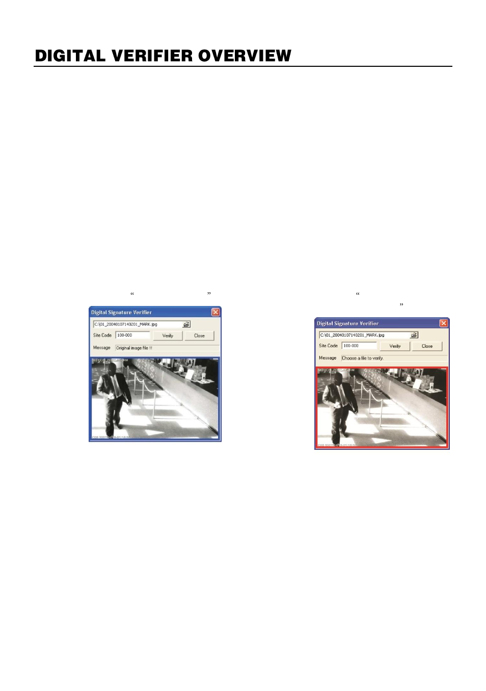 Digital verifier overview, Using the digital verifier | OpenEye E-Series Slim User Manual | Page 73 / 79
