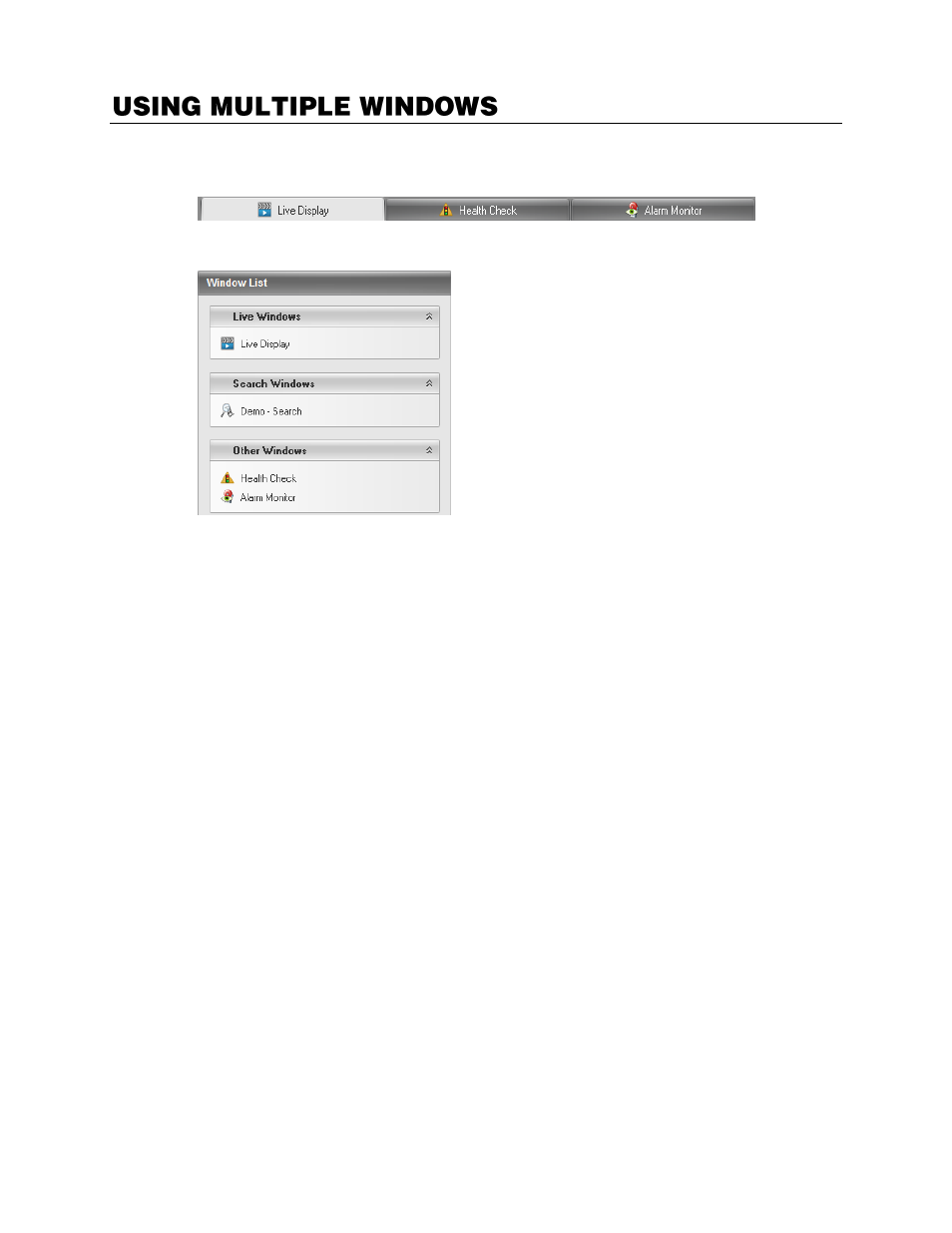 Using multiple windows, Multiple monitor support, Using multiple monitors | OpenEye Gen6 RADIUS-PC User Manual | Page 25 / 70