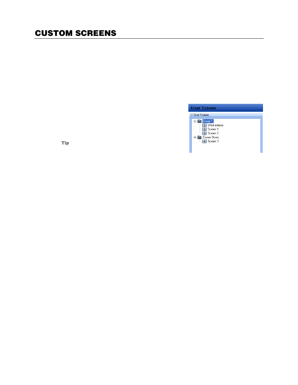 Custom screens, Creating custom screens, Editing custom screens | OpenEye RADIUS v.4.05 User Manual | Page 17 / 59