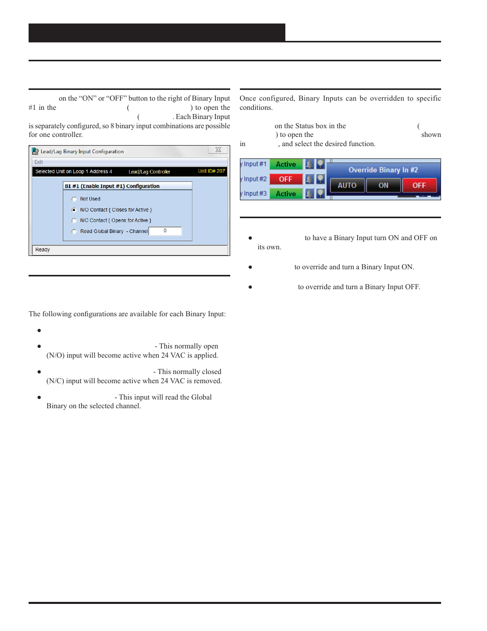 Binary input type and override | Orion System Lead Controller User Manual | Page 18 / 56
