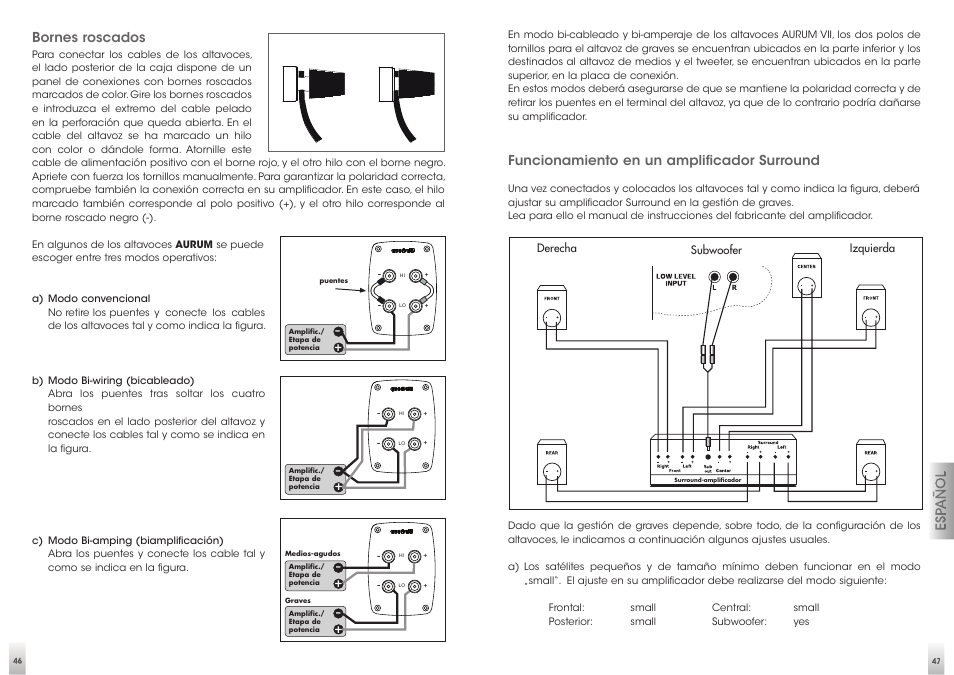Bornes roscados, Funcionamiento en un amplificador surround | Quadral AURUM VIII User Manual | Page 24 / 29