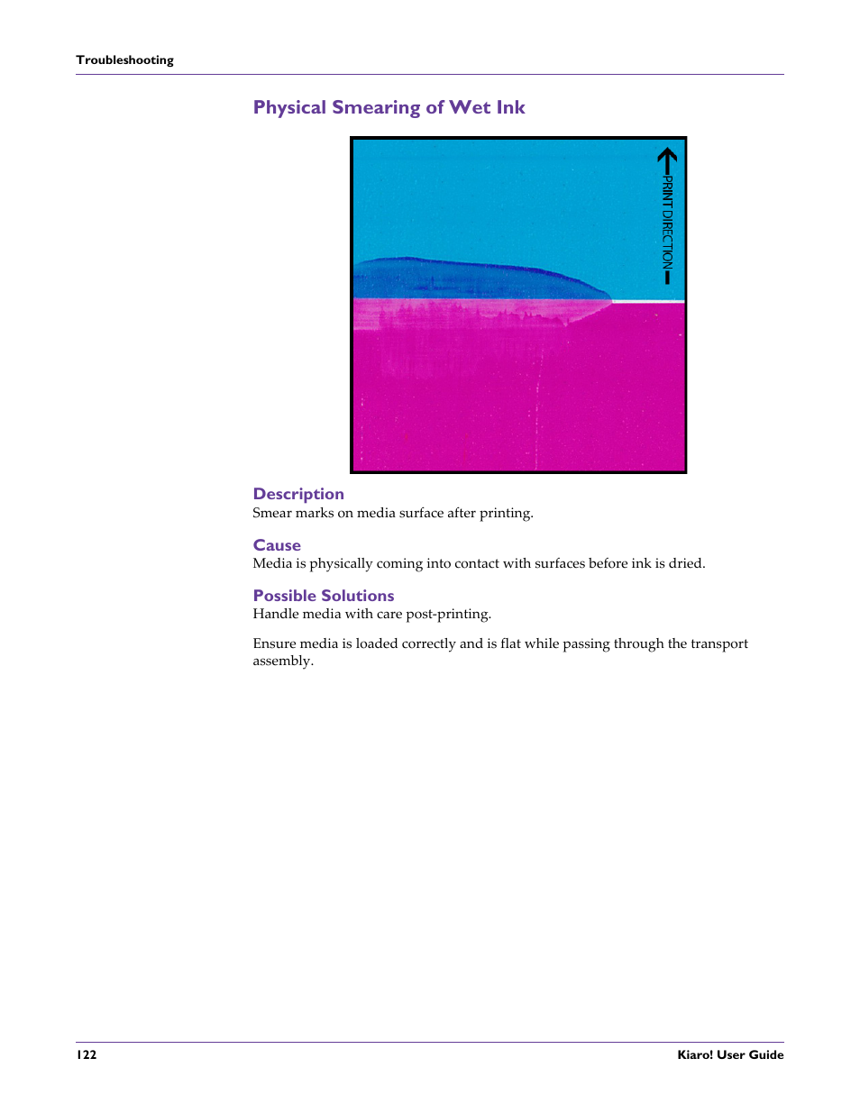 Physical smearing of wet ink, Description, Cause | Possible solutions | QuickLabel Kiaro! User Manual | Page 138 / 166