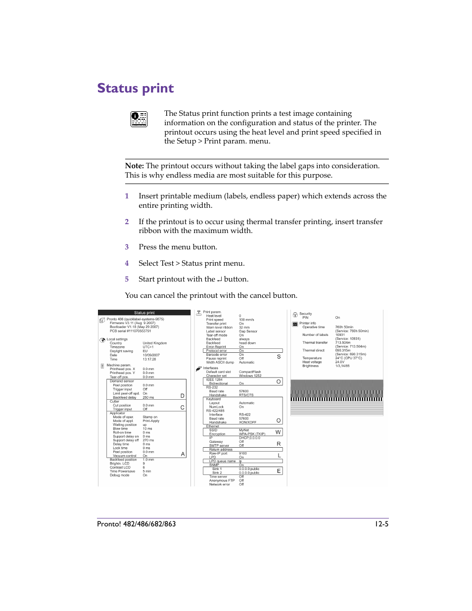 Status print, Status print -5 | QuickLabel 482 Pronto! User Manual | Page 201 / 256
