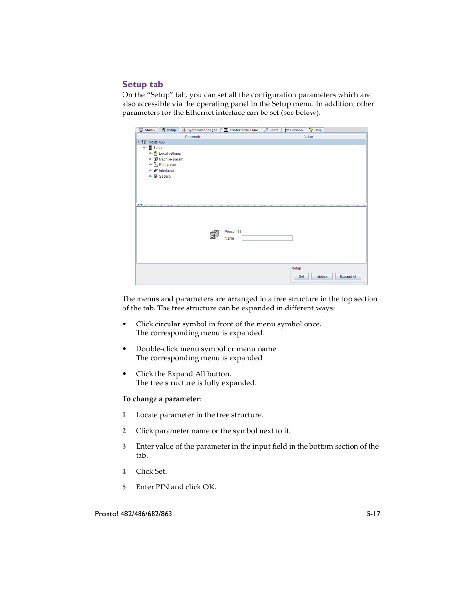 Setup tab, Setup tab -17 | QuickLabel 482 Pronto! User Manual | Page 67 / 256