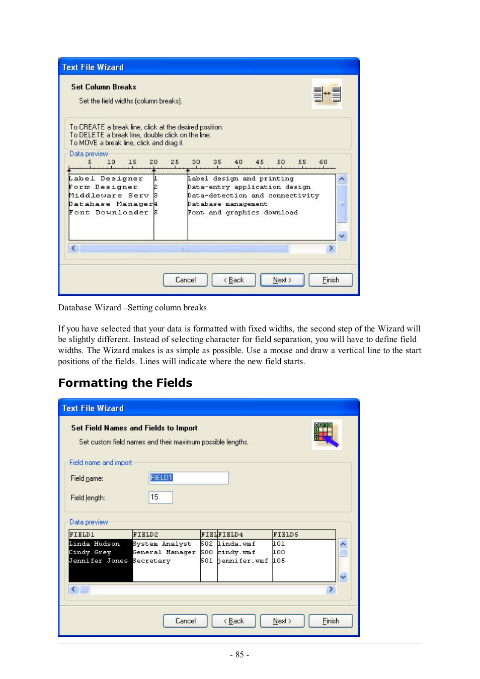 Formatting the fields | QuickLabel Designer Express User Manual | Page 85 / 93