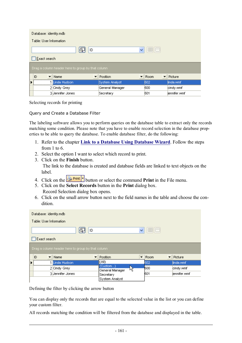 Query and create a database filter | QuickLabel Designer Pro User Manual | Page 161 / 194