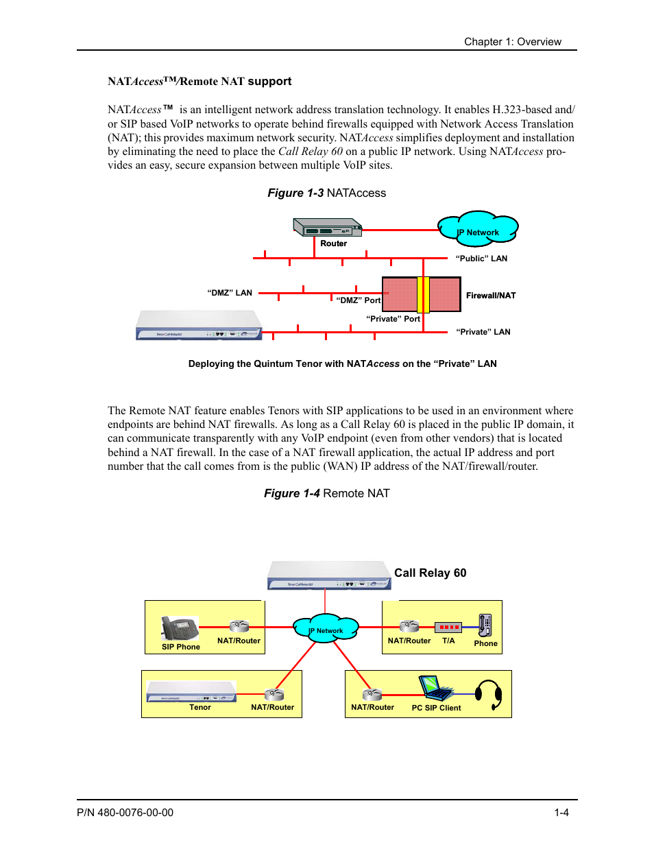 Nataccess™/remote nat support, Nat access, Call relay 60 remote nat | Quintum Technologies Tenor Call Relay 60 User Manual | Page 12 / 67