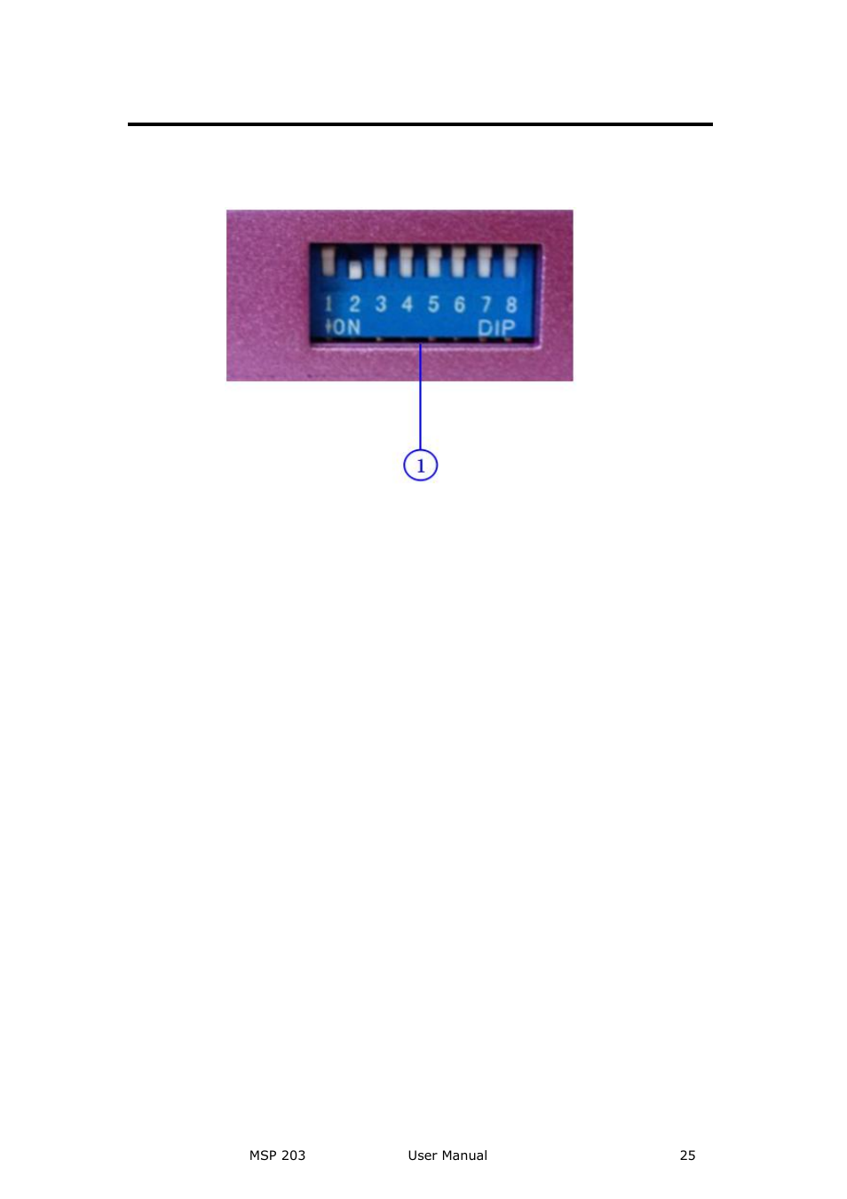 Dial switch, Hardware orientation | RGBLink MSP 203 User Manual User Manual | Page 25 / 37